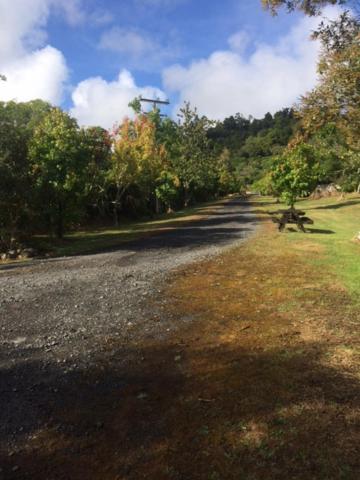 Tui Glen Villa Raurimu ภายนอก รูปภาพ